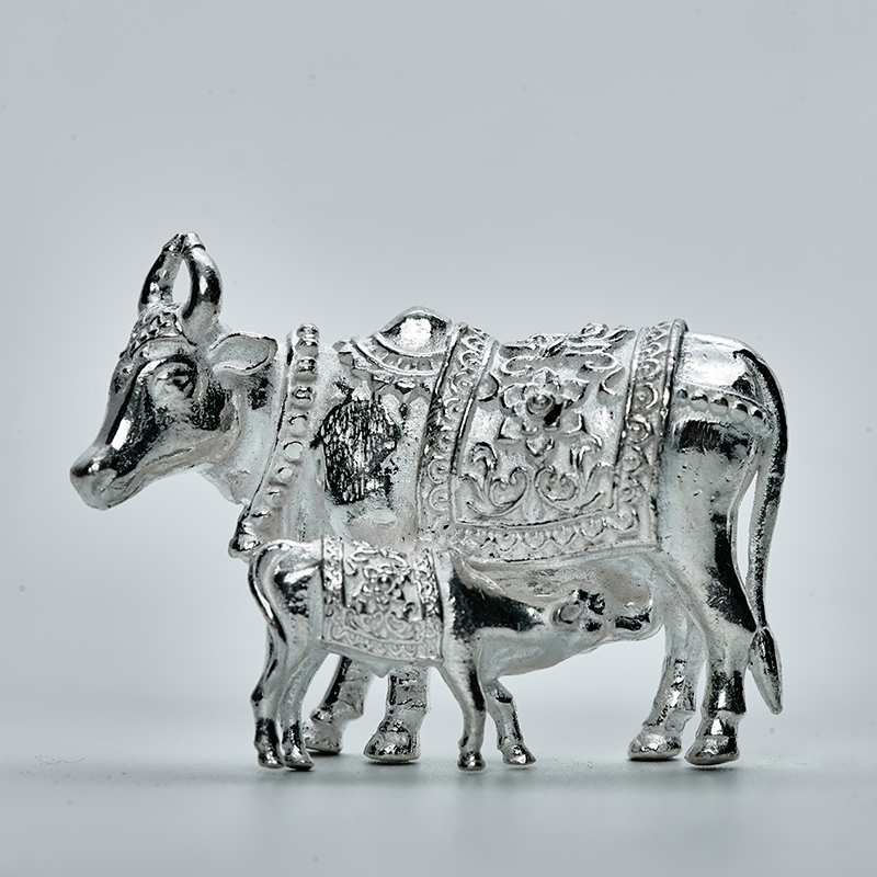 NAKASH COW CALF