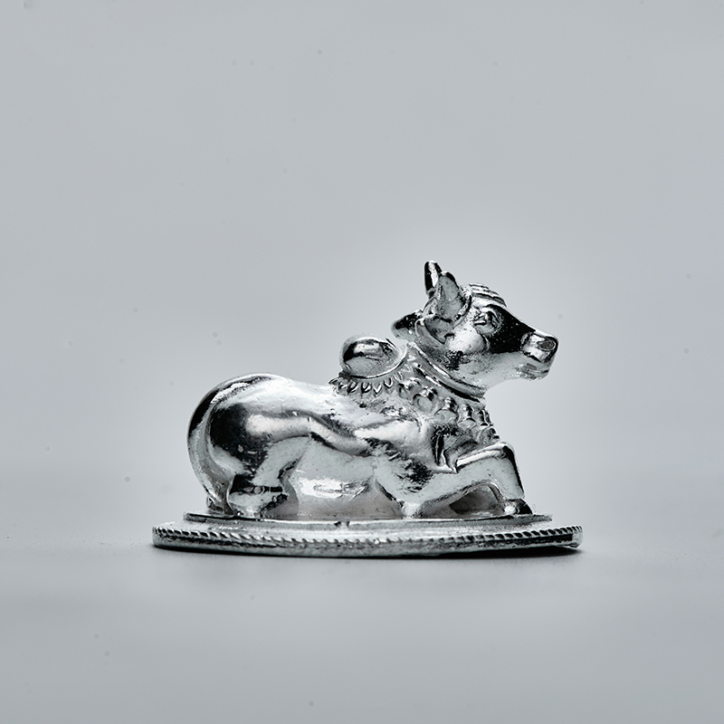 PLAIN NANDI
